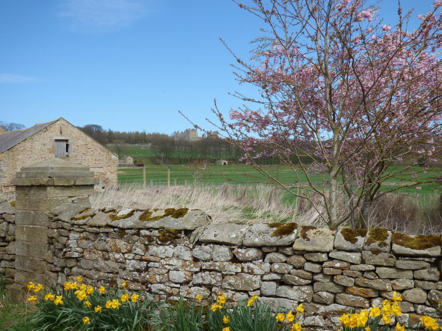 Barn Cottage West Burton Extérieur photo